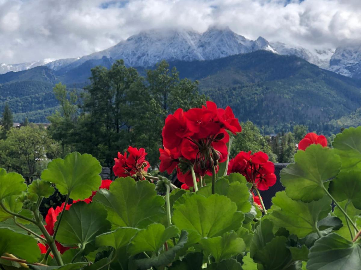 Bajkowy Domek Kościelisko Dış mekan fotoğraf